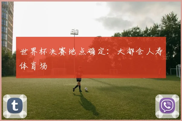 世界杯决赛地点确定：大都会人寿体育场